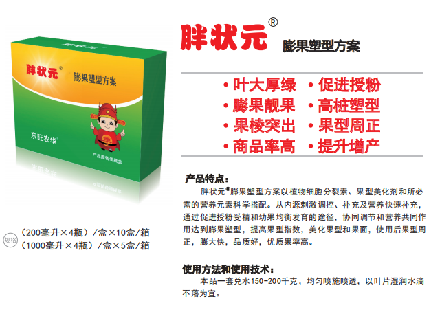 胖状元&reg;膨果塑型方案